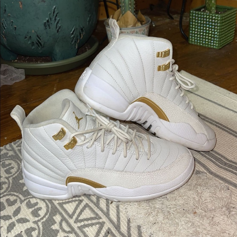 Drake oVo Air Jordan 12s